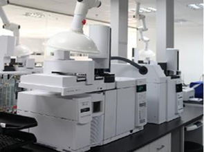 普研引領技術創新，上海標準技術服務助力產業升級